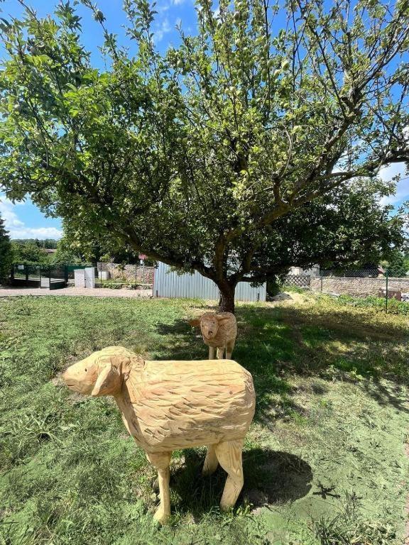לינה וארוחת בוקר קונטה הורה Kutnohorska Vyhlidka II מראה חיצוני תמונה